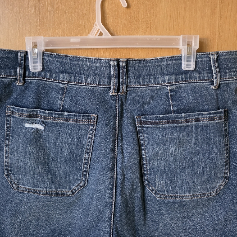 Democracy “Curve Equality” Ab Solution Denim Shorts – Size 14 NWT - Picture 4 of 14